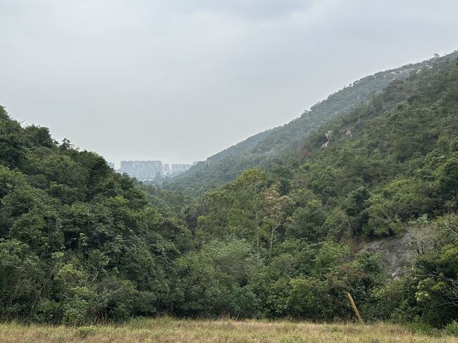 それほどハードではないので楽しめました。