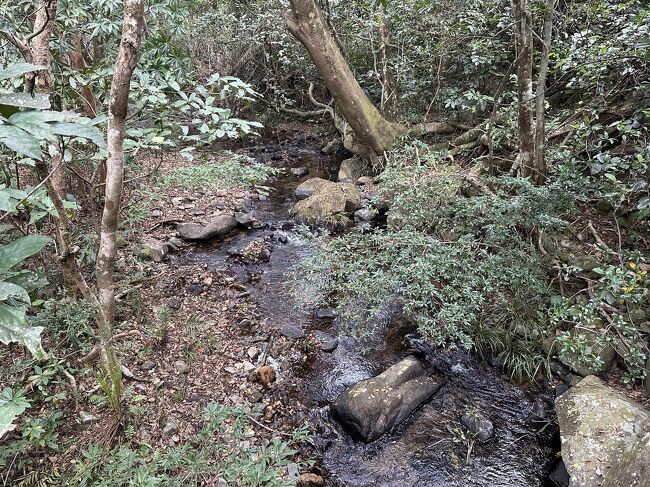 ハイキングコース。