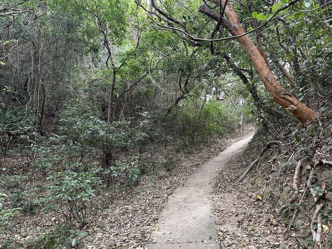 道が細くなります。