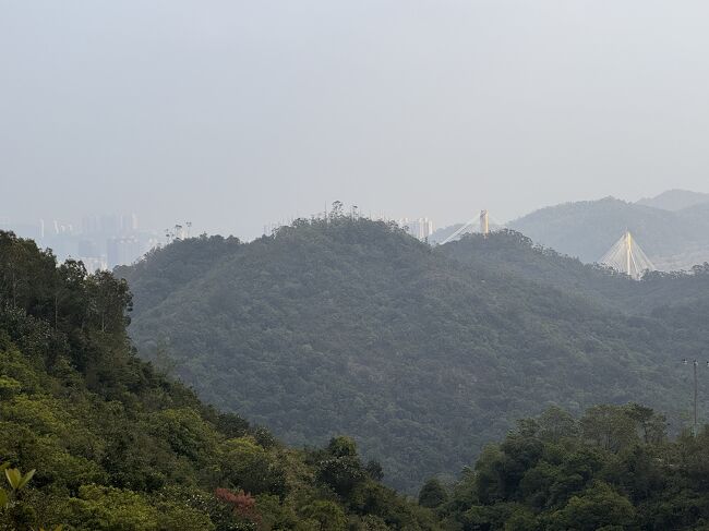 深井に近ずいてきました。