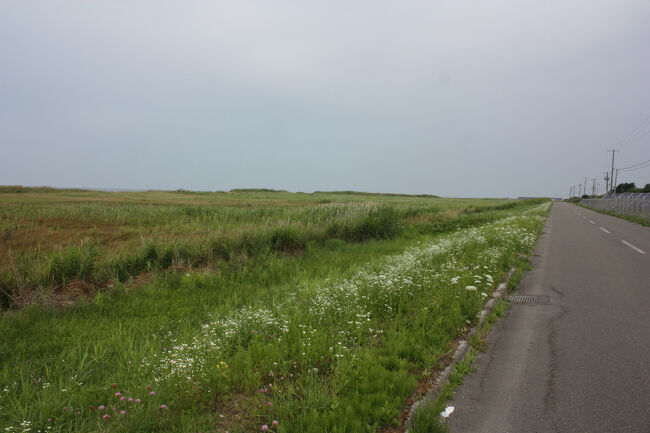 勇払郡むかわ町汐見。<br />海寄りの道に出ました。<br />左手が太平洋ですが、その手前は原野が広がっている感じです。