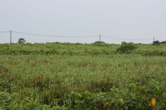 勇払郡むかわ町汐見。<br />小高くなっている場所が、日高本線の線路跡です。<br />左が汐見、右が鵡川方面です。