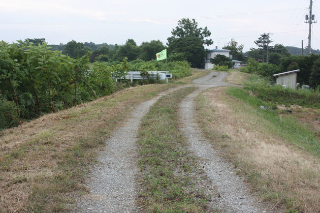 勇払郡むかわ町汐見。<br />帰りは、引田橋を渡らず、橋の下を流れている、川東幹線用水路の土手沿いの道を進みました。<br />ここを進めば、鵡川の土手に出られ、鵡川橋梁にたどり着けると思ったからです。<br />奥に見えるのが、引田橋です。