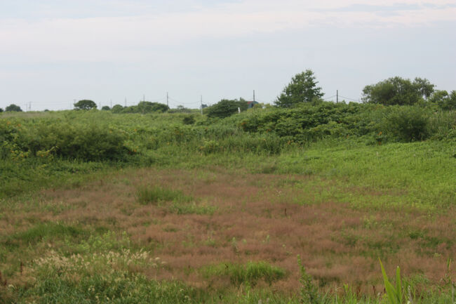 勇払郡むかわ町汐見。<br />小高くなっている場所が、日高本線の線路跡です。<br />左が汐見、右が鵡川方面です。<br />小さくて分かりづらいですが、写真の中央にある建物は、チンタ浜踏切跡の近くからも見えました。