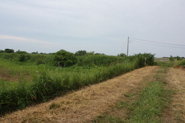 勇払郡むかわ町汐見。<br />日高本線の線路が横切っていた、土手沿いの道をさらに進みます。