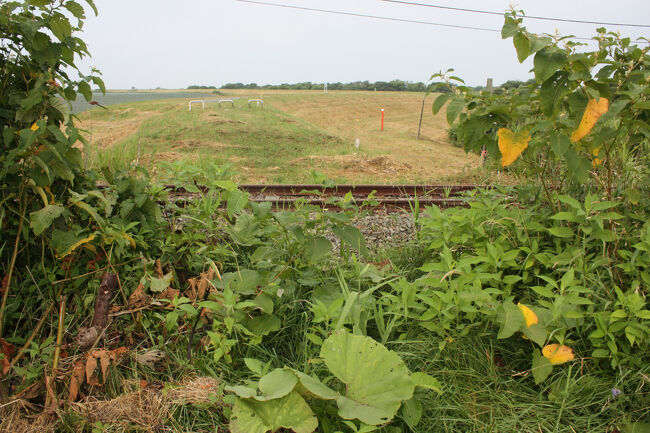 勇払郡むかわ町汐見。<br />日高本線の線路が見えました。<br />踏切があったような痕跡はありませんが、線路を渡り、その先にも進めます。