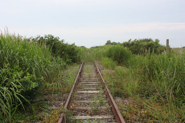 日高本線の線路跡。<br />上の写真の反対側です。<br />何となく草が切れている場所が、土手沿いの道から続いています。<br />