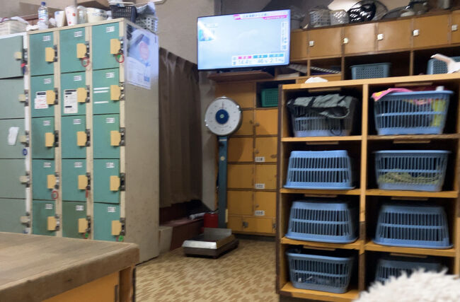 体重計を<br />かごも<br />昭和の世界で<br />ド演歌が流れてま～す