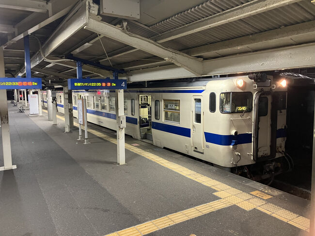 今日も日南線終電で<br />青島へ<br /><br />充実の鹿児島日帰りでした