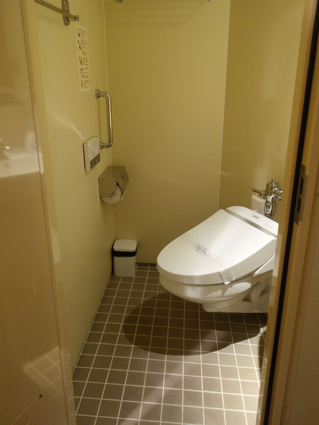 普通のトイレ。バス・シャワーはありません。