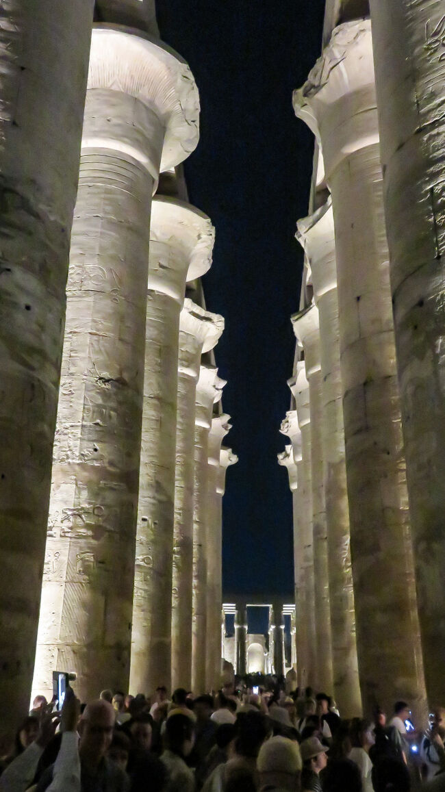 大列柱廊に入りました。大きな柱が２列に並んでいます。