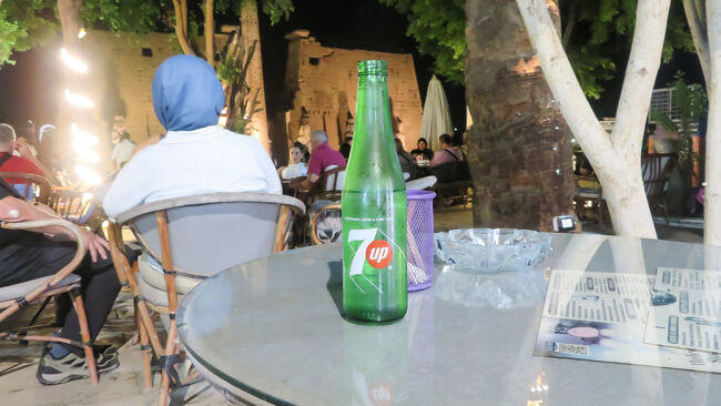 見学後は、神殿の目の前にあるカフェ・ホルスで第１塔門を眺めながら水分補給。明日は、ルクソール西岸を回ります。