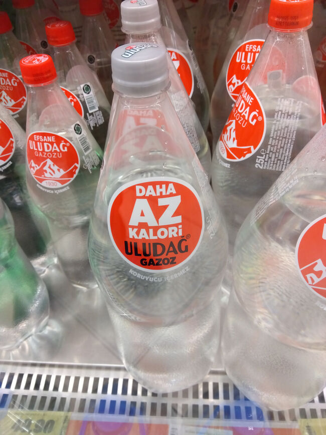 そうそう、炭酸水が好きなので買おうとし、甘いサイダーかどうかを確かめるために写真を撮ってググりました。が、日本語訳はあまり意味をなさなかったので飲んで確かめることにしました。結果甘い炭酸水でした。<br /><br />旅の日程としては16:00にMudanya港を出発するフェリーに乗り、17:45にEminonu港に到着、18:15にカドゥキョイ行に乗り換えてホテルに戻りました。<br /><br />ホテルでは再度鍵が無く、また手違いで違う部屋に泊まり、永遠に続く階段を上り下りするのかと思われました。が、部屋を掃除した人が間違って鍵を持って帰っただけと分かり、清掃人が自宅から急いで届けてくれることになりました。ホテルの前で1時間くらいは待ったでしょうか。<br /><br />待っている間、無料でコーヒーを飲んでもいいよと言われましたので、ホテルの一階にあるバーでコーヒーをもらいました。チャイはなかったです。<br /><br />階段に座り込んで待っていると鍵を持った人が現れ、私たちは無事に低層階の部屋に泊まれることになりました。ここにあと2泊するといよいよ帰国です。