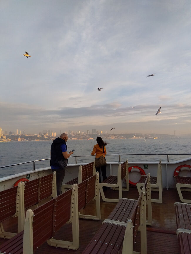 飛び交うカモメを背景にフェリーは進みます。