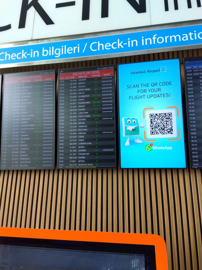 18:10、イスタンブール空港からNH220便に乗って帰国です。<br /><br />11月11日（火）【Day 14】帰国<br />11:20、羽田空港に到着です。お疲れ様でした。<br /><br />【まとめ】<br />振り返ってみると一日のうち半分くらいは休憩していたのではないかという気になります。ホテルの部屋で食事したり次の計画を立てたり、洗濯したりシャワーを長く浴びたりしているうちにすぐに時間はたちました。夜は夜でお互いがいつも見ているネット番組を紹介したり、地元のテレビ番組に突っ込みを入れてゲラゲラ笑っている、自由な個人旅行って最高です。<br /><br />観光地は朝イチに行くに限ります。人気のない庭園を歩き回って展示物をゆっくり見ることができます。私は残念なことに知識不足のため観光地ではアウェイ感が否めないけれども、歴史的な建物や美術品などを見ながら内輪の話で盛り上がるのがたまらなく楽しいです。<br /><br />今度トルコに行くならトルコ語を勉強します。思っていたよりも治安が良いところが多く、言葉ができればもっと地元の人とのコミュニケーションがはずむはずです。<br />お気に入りのスーパーマーケットや市場、パン屋を見つけて自炊したり、道端で熱いチャイを飲んだりするのにも憧れます。<br /><br />そしてできることならトルコでバックギャモンに挑みたいです。今はまったくの初心者とはいえ時間をかけて誰かに相手をしてもらえるようになりたいです。今度行くときまで、ボードゲームの盤を置いている喫茶店が残っていますように。<br /><br />アジアとヨーロッパを結ぶトルコに行けて大満足しました。旅行に一緒に行ったアラフィフの女性陣にあらためて感謝です。ここまで読んでくださった方も本当にどうもありがとうございました。何かの参考になれば幸いです。<br />