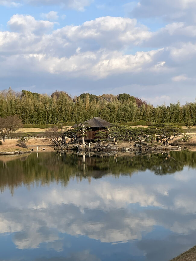 庭園に有る沢の池