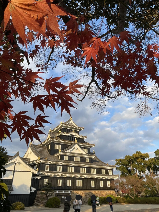 紅葉に映える烏城