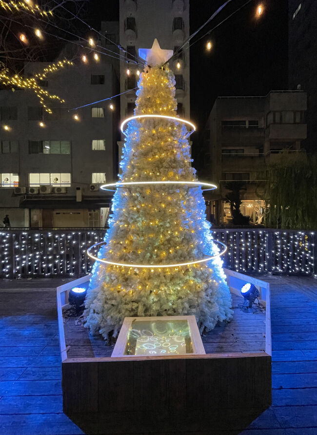 クリスマスツリーも