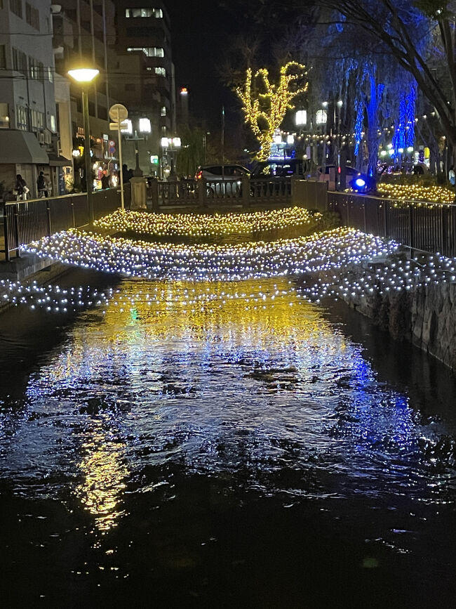 ライトアップされた西川緑道公園