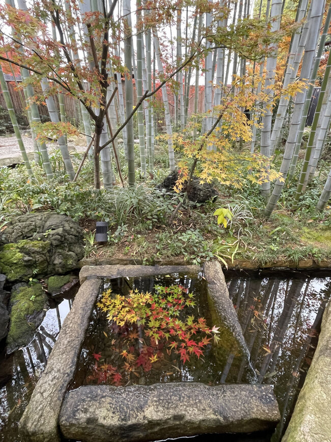 水景と紅葉