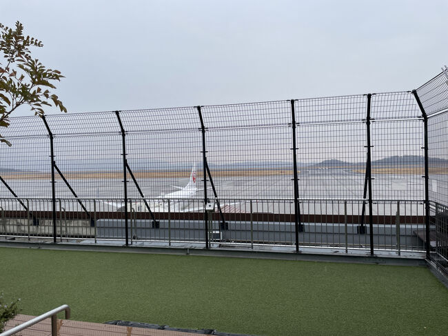 デッキへ向かうがあいにく外は雨