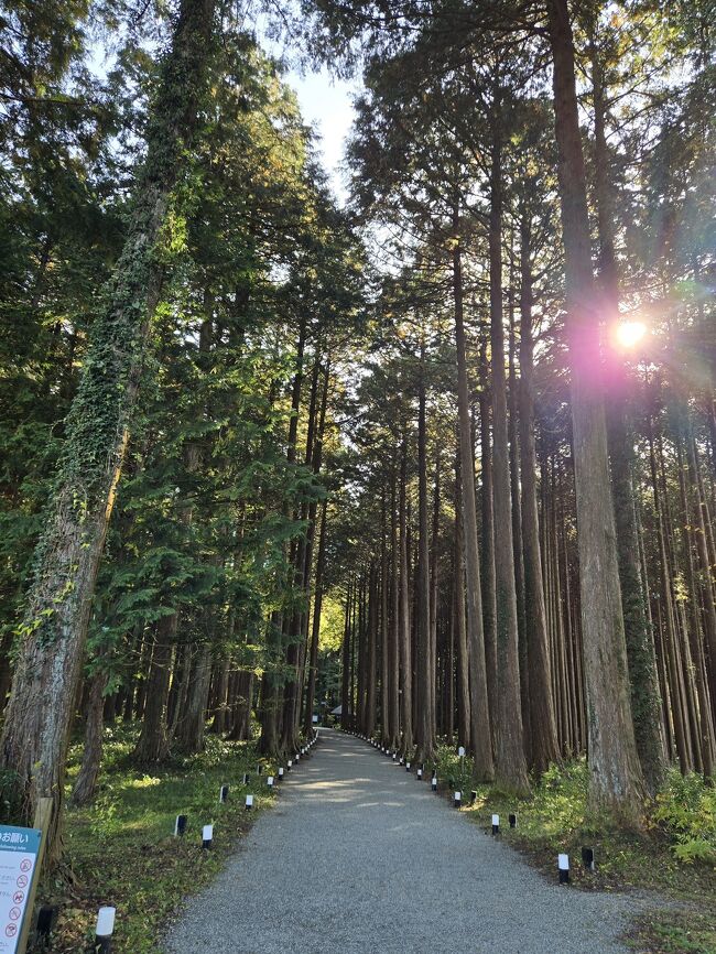 清々しい空気を吸い込んで、