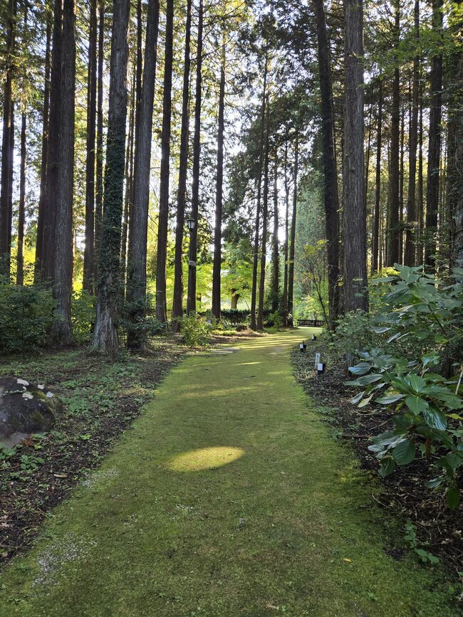 気持ちの良い森のエントランスを歩きます。<br />入場料@300円。