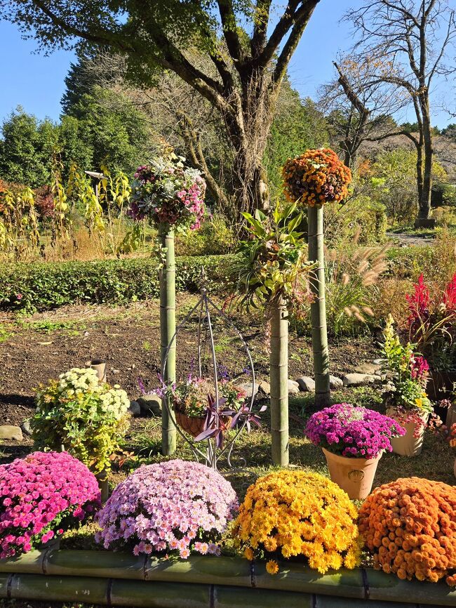 さらに、メモリアルガーデンには、<br />フラワーアレンジメントが。