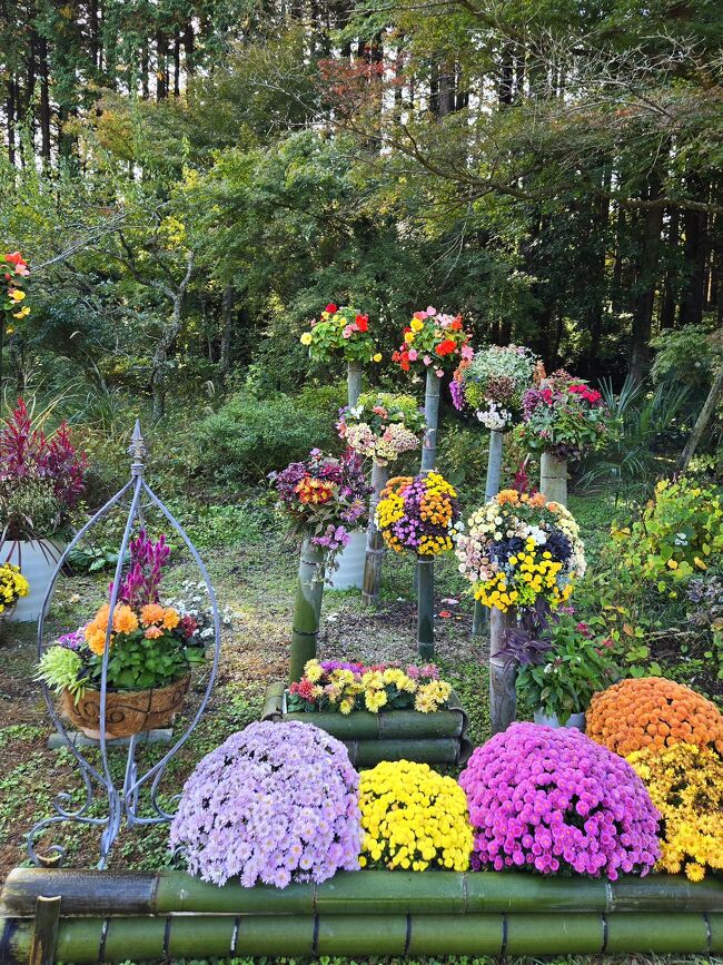 なんて愛らしいの！