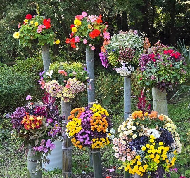 こんな素晴らしいアレンジメントを<br />見られるなんて、