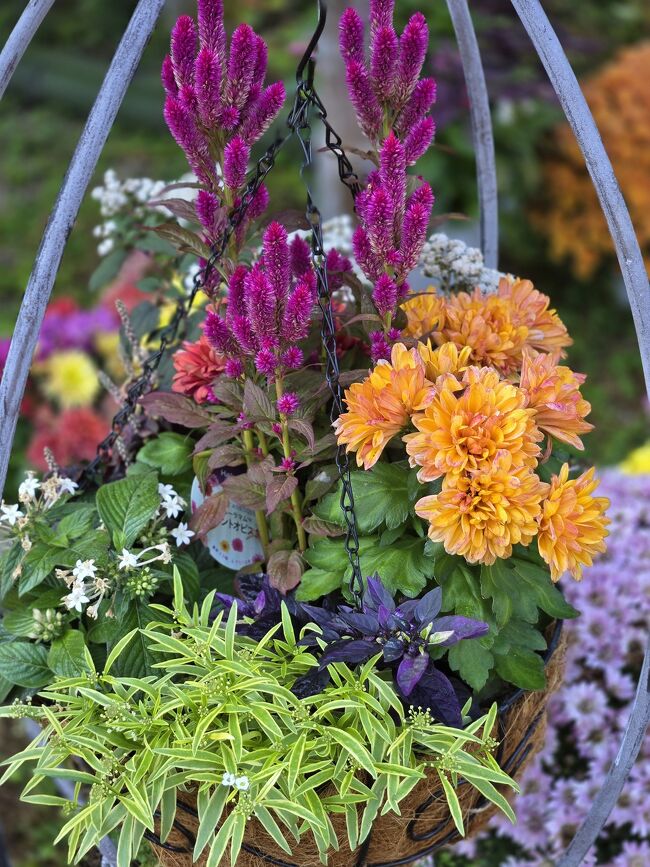 思わぬサプライズに、大感激(*^^*)