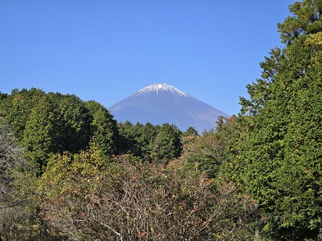 富士山が望めます。<br />本当に雲1つない、良い天気！