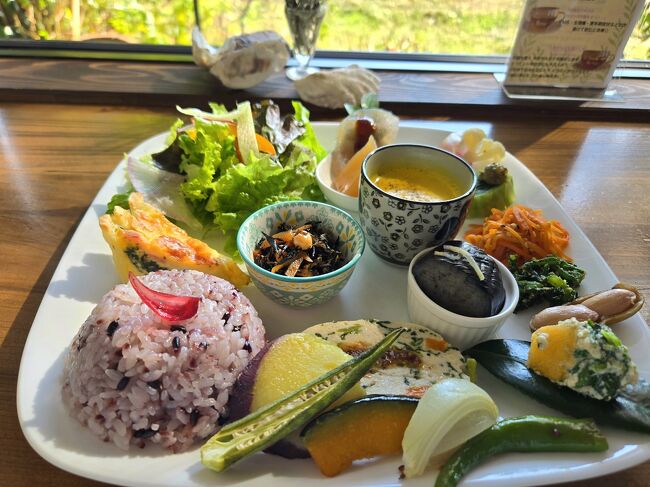 大人気のランチプレート(@1200円)<br />色彩りお惣菜が、いっぱいで、<br />どれもとっても美味しい、ヘルシー。<br />私のメインはチキンのテリーヌ。<br /><br />