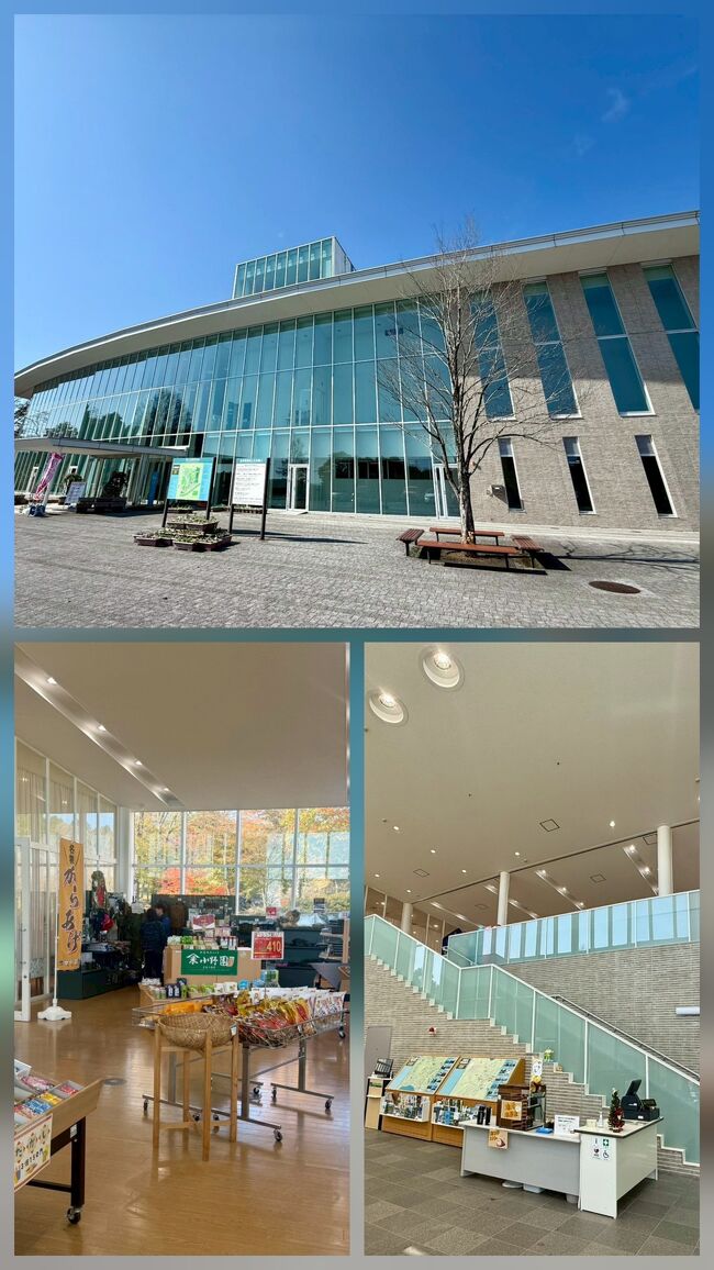 お腹も満たされて、お墓参りを済ませ、<br />向かった先は、富士山樹空の森。<br />建物内には、レストラン、売店が。<br />さくら会という、<br />心身障害者の方々の会で作られた<br />素晴らしい作品が売られていました。<br />我が家も購入しました。