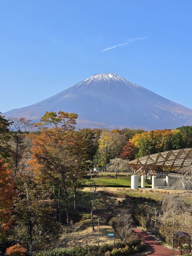 メインの建物には展望台があり、<br />雄大な富士山の姿が目の前に！<br />桜の季節も、素晴らしいそうですよ。<br />季節を変えて再訪したい場所です。