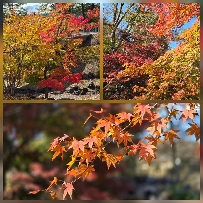 紅葉が始まっていて、<br />錦秋の景色が堪能出来ます。