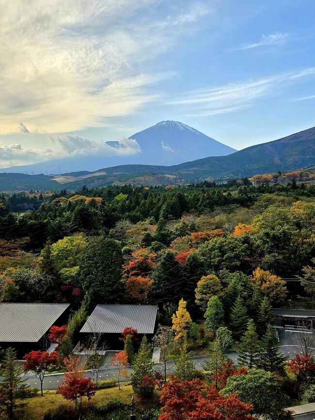 お部屋からは、<br />紅葉とコラボした富士山が！