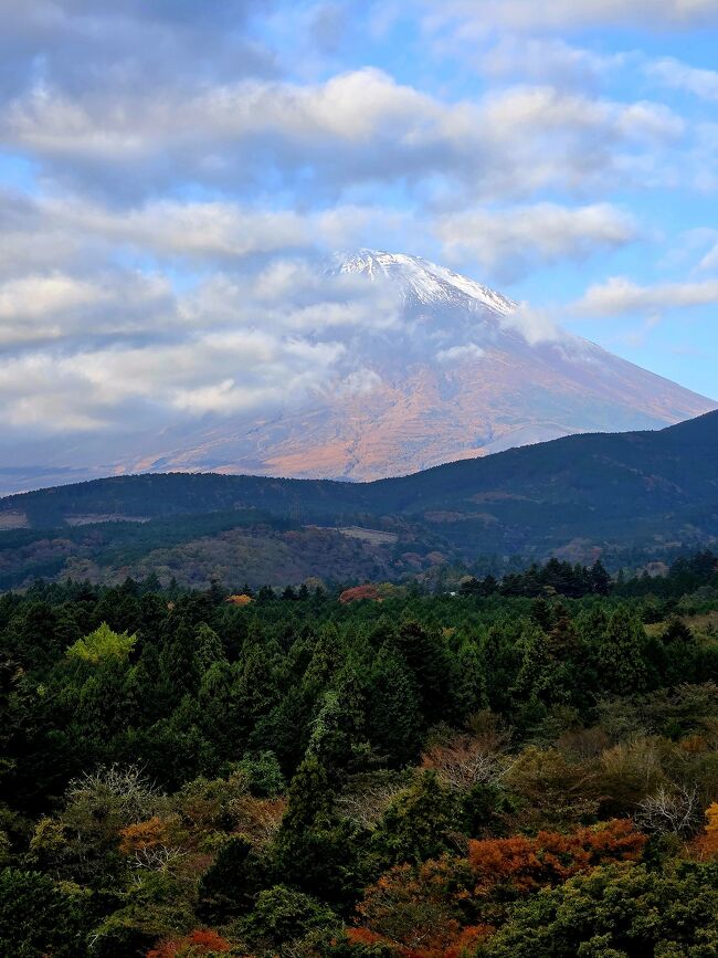 おはようございます。<br />富士山が今日も綺麗だな。
