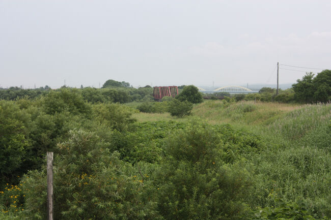 勇払郡むかわ町汐見。<br />拡大して撮りました。