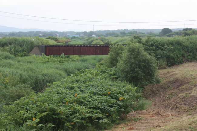 勇払郡むかわ町汐見。<br />土手沿いの道から少し降りたところから、川東幹線用水路に架かる橋梁を撮りました。