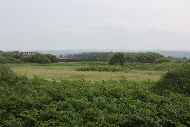 勇払郡むかわ町汐見。<br />鵡川橋梁の全体が見えてきました。