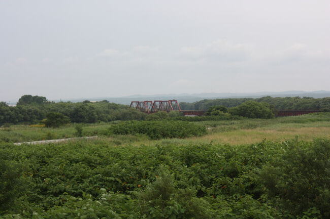 勇払郡むかわ町汐見。<br />鵡川橋梁の、鵡川側の部分を撮りました。<br />手前には、この後進む、鵡川沿いの道が見えてきました。