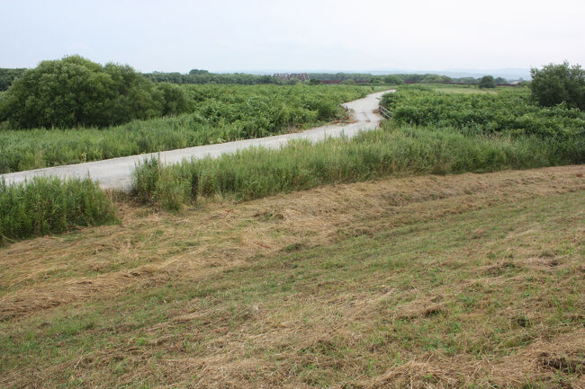 勇払郡むかわ町汐見。<br />鵡川沿いの道にたどり着きました。<br />無事たどり着けてよかったです。<br />ここまで、汐見駅跡から５０ふんほどです。