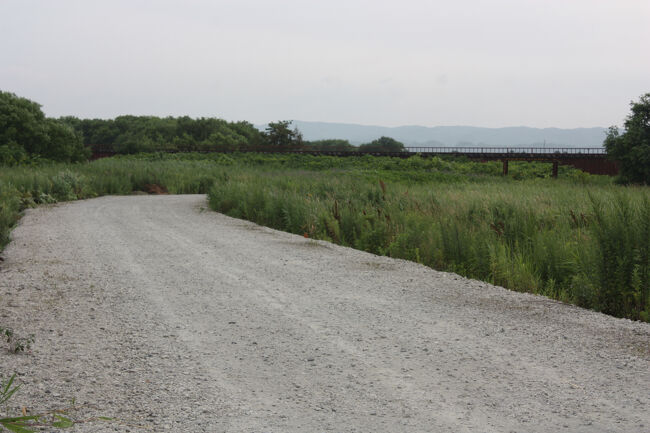 勇払郡むかわ町洋光。<br />上の写真の右側です。<br />近づくほど、長さが際立ちます。