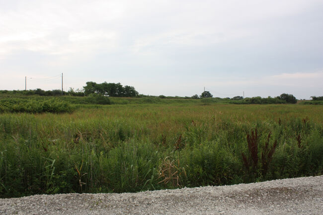 勇払郡むかわ町洋光。<br />上の写真の、さらに右側です。<br />鵡川橋梁から先、汐見方面の日高本線の線路跡です。<br />右奥の方に、歩いてきた、川東幹線用水路の土手上の道が、わずかに見えています。