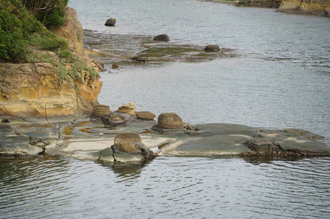 なのに、オモチロい岩があっちこち。
