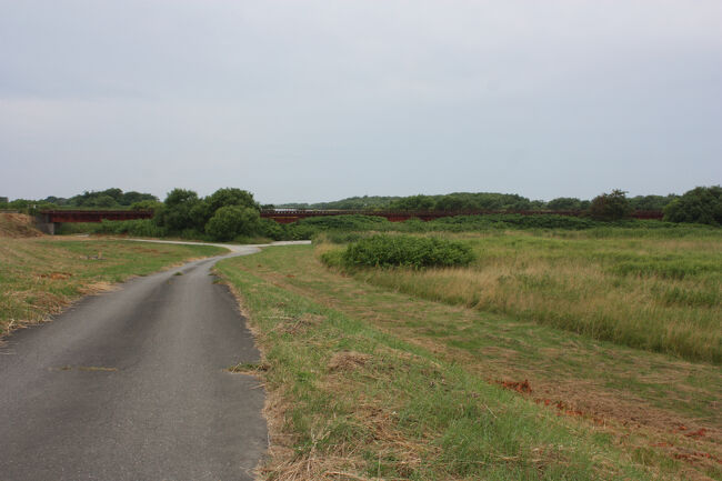 勇払郡むかわ町汐見。<br />長いので、やはり全体は撮れません。