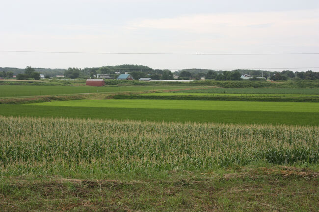 勇払郡むかわ町汐見。<br />写真の中央を斜めに続く道を、汐見駅跡に向かう時に歩きました。
