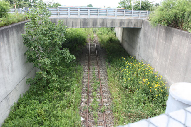 鵡川跨線橋。<br />汐見方面望みます。<br />正面に見える橋は、汐見駅跡に向かう時に渡った、鵡川跨線橋です。