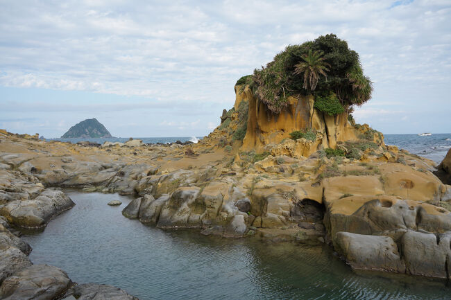 この辺…よりも少し先になるかな？進めへんけどね。